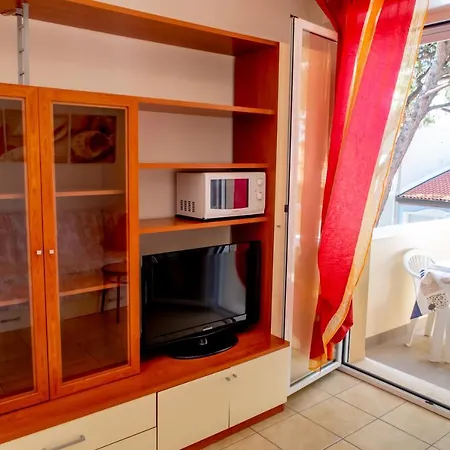 Family Nuova Orchidea * Riccione