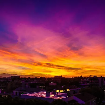 Family Nuova Orchidea