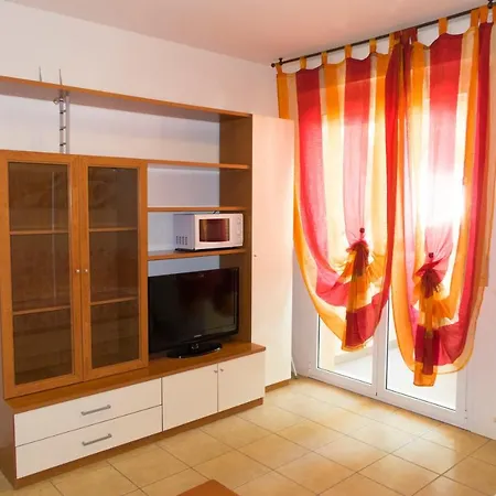 Family Nuova Orchidea