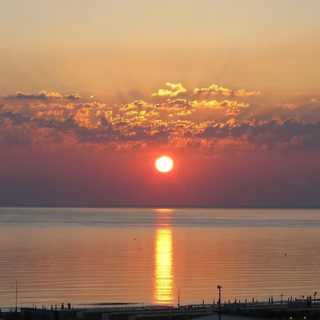 Family Nuova Orchidea