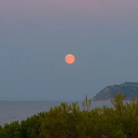 Διαμέρισμα Family Nuova Orchidea *