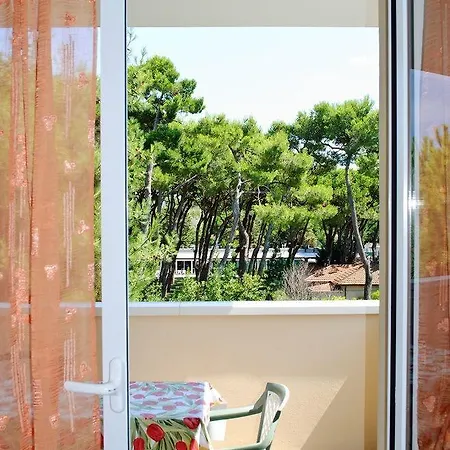 Family Nuova Orchidea * Ριτσιόνε