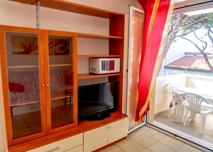 Family Nuova Orchidea * ריצ'יונה