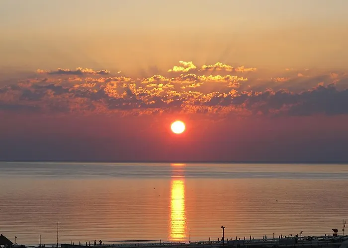 Family Nuova Orchidea