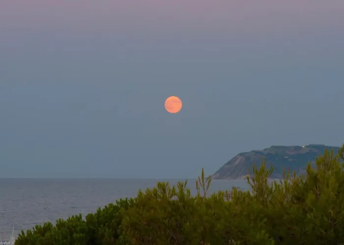 Apartman Family Nuova Orchidea *