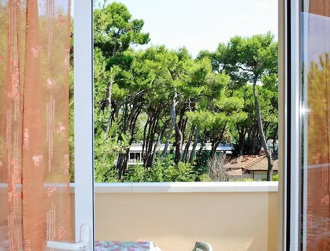 Family Nuova Orchidea * ריצ'יונה